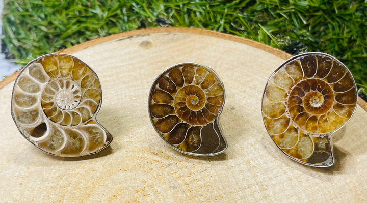 Bague en Ammonite, Taille 60-66 (réglable) - les bijoux de Thea 