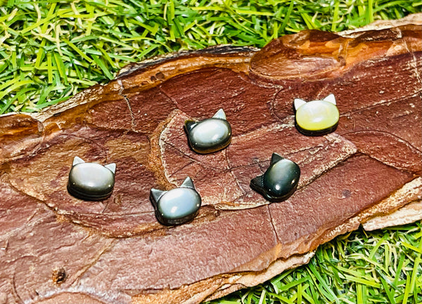 Lot de 5 Perles naturelles en Nacre multicolore en forme de Chat - Les bijoux de Théa