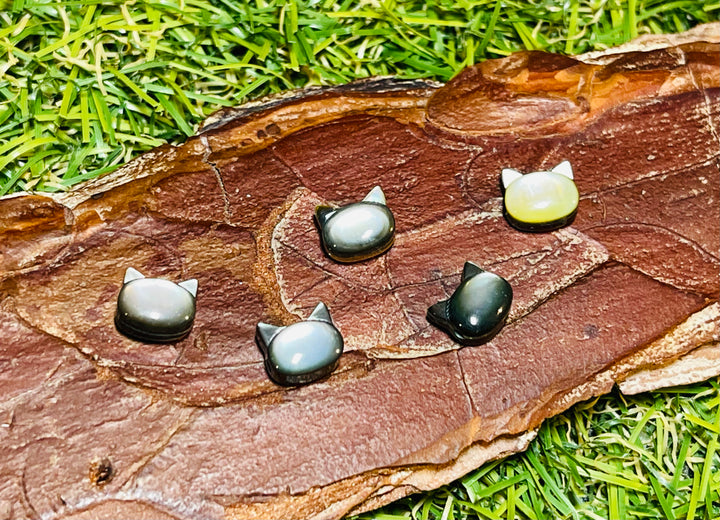 Lot de 5 Perles naturelles en Nacre multicolore en forme de Chat - Les bijoux de Théa