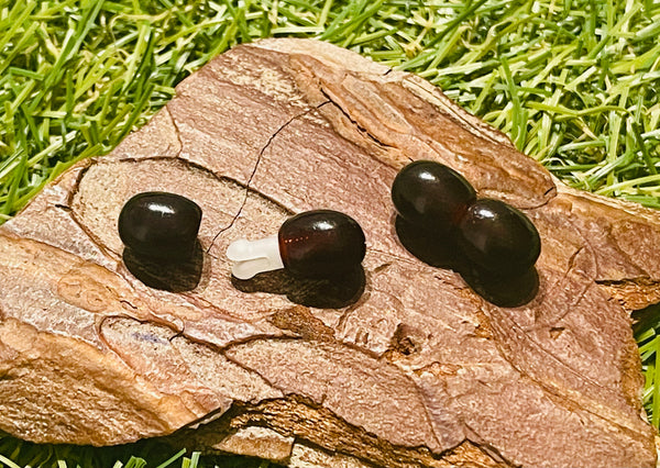 Lot de 5 fermoirs Sécurité enfant bébé marron foncé pour collier - les bijoux de Thea 