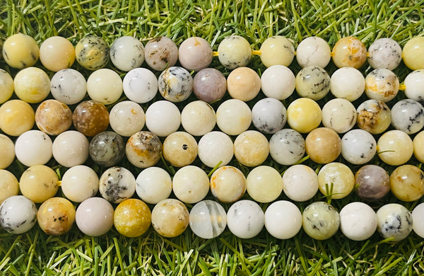 Perles naturelles en Opale Dendrite en 8 mm (multicolore)