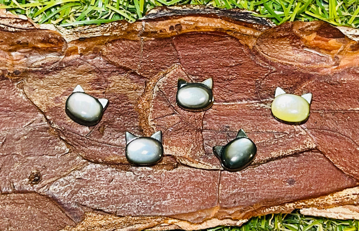 Lot de 5 Perles naturelles en Nacre multicolore en forme de Chat - Les bijoux de Théa