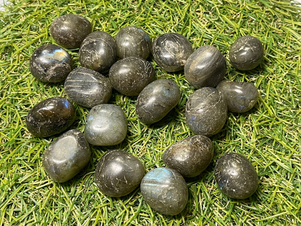 Lot de 15 pierres roulées naturelles en Labradorite sombre - Les bijoux de Théa