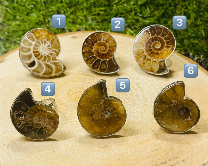 Bague en Ammonite, Taille 60 - 66 (réglable) - Les bijoux de Théa