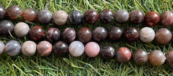 Perles naturelles en Bois Fossilisé / Pétrifié en 10 mm