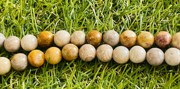 Perles naturelles en Corail Fossile en 8 mm - Les bijoux de Théa