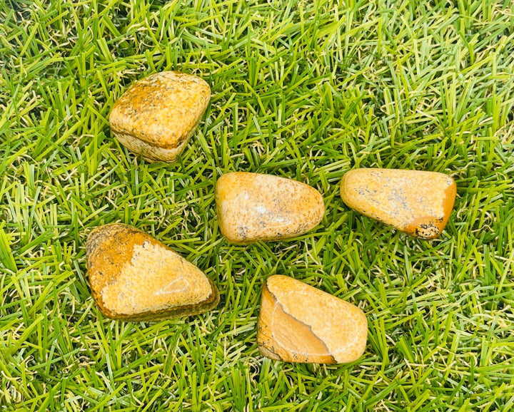 Lot de 3 pierres naturelles roulées en Jaspe paysage - Les bijoux de Théa