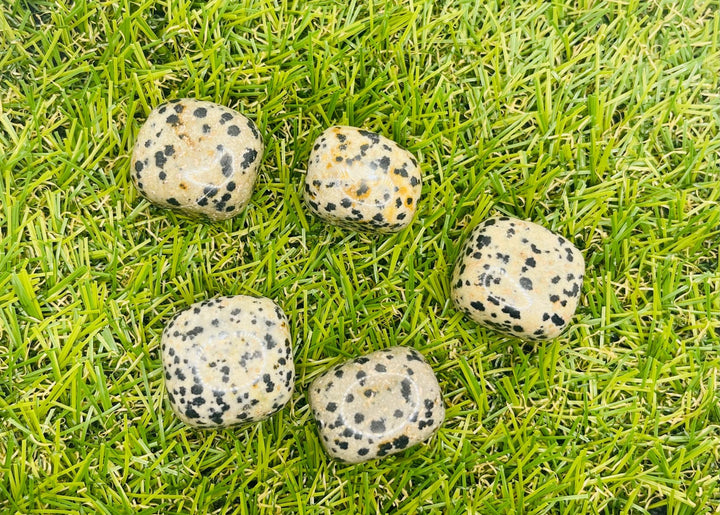 Lot de 3 pierres roulées naturelles en Jaspe Dalmatien - Les bijoux de Théa