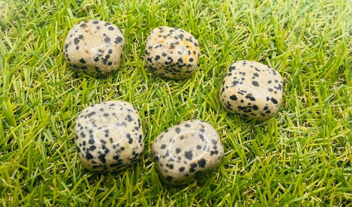 Lot de 3 pierres roulées naturelles en Jaspe Dalmatien - Les bijoux de Théa