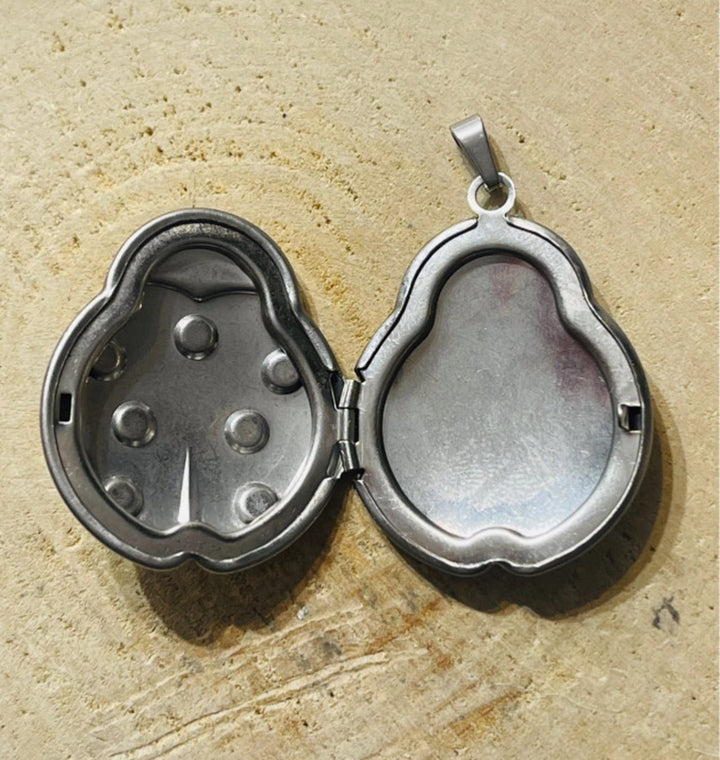 Pendentif double porte photo en forme de coccinelle - Les bijoux de Théa