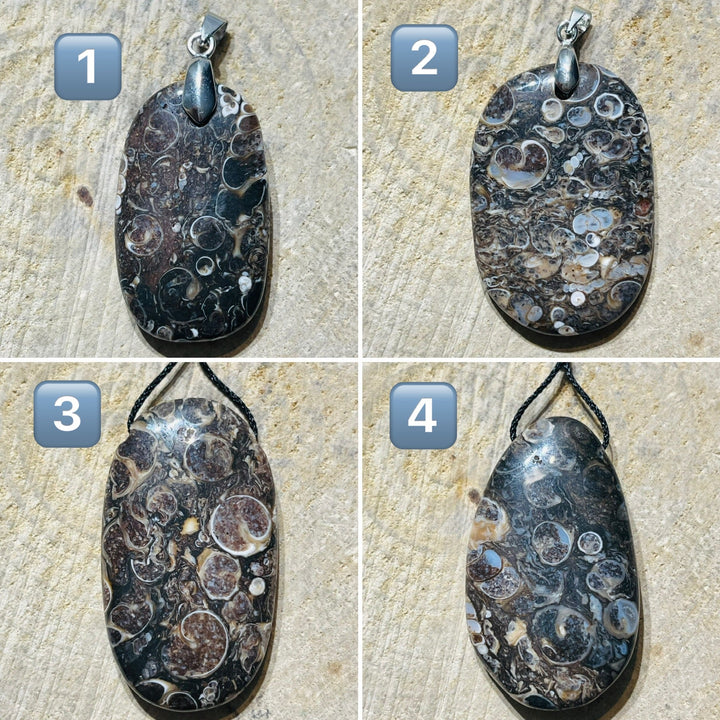 Pendentifs en Agate Fossil / Turitelle au choix - Les bijoux de Théa