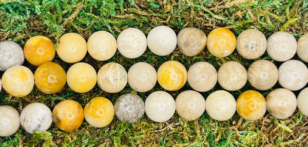 Perles en Bois Fossilisé / Pétrifié en 10 mm - Les bijoux de Théa