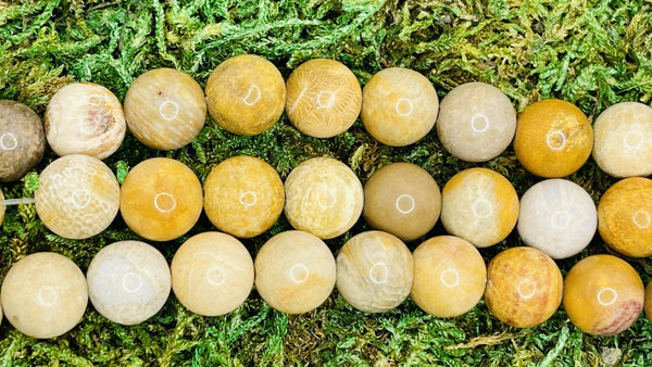 Perles naturelles en Corail Fossile en 10 mm - Les bijoux de Théa