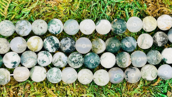 Perles naturelles en Agate Arbre en 10 mm