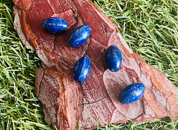 Perles en Lapis-lazuli grain de riz (lot de 5)