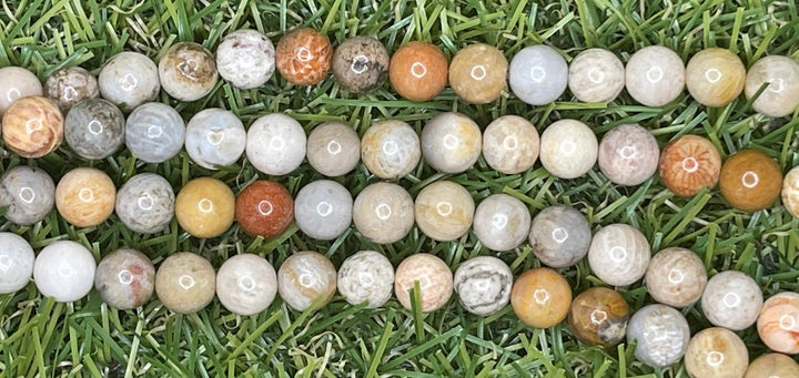 Perles en pierre naturelle en Corail Fossile en 6 mm - Les bijoux de Théa